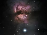 NGC 2024