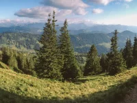 Hochgrat 2016